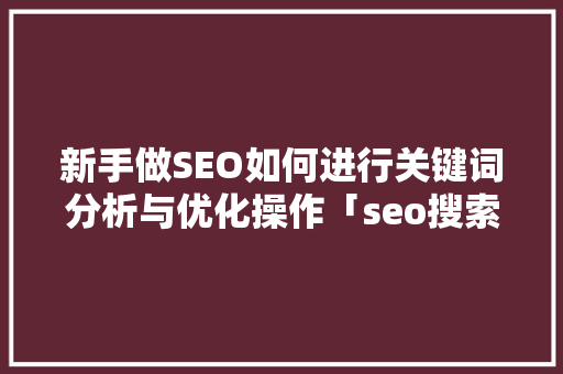 新手做SEO如何进行关键词分析与优化操作「seo搜索排名优化」