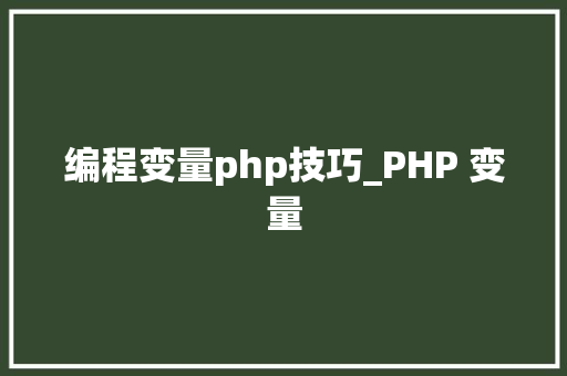 编程变量php技巧_PHP 变量