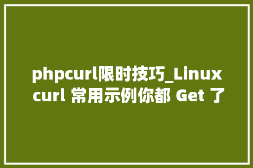 phpcurl限时技巧_Linux curl 常用示例你都 Get 了吗 CSDN 博文精选
