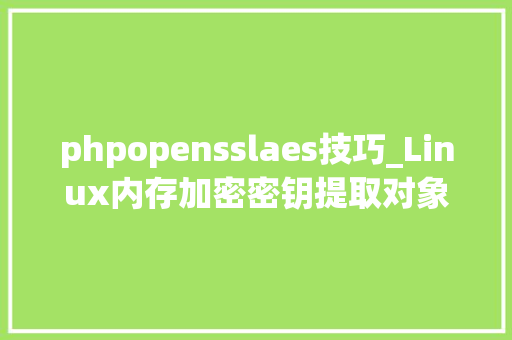 phpopensslaes技巧_Linux内存加密密钥提取对象