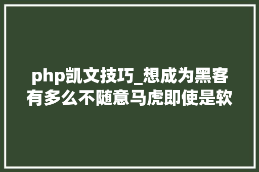 php凯文技巧_想成为黑客有多么不随意马虎即使是软件工程师也可能没有资格