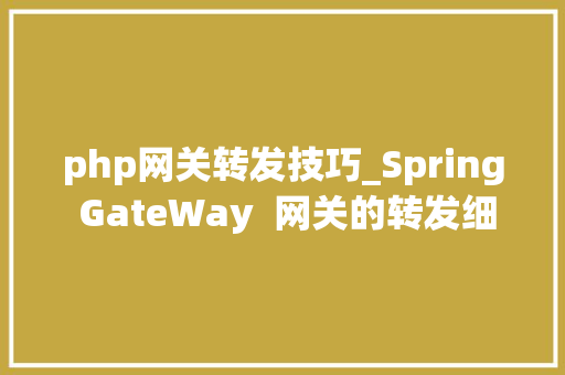 php网关转发技巧_Spring GateWay  网关的转发细节