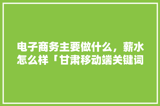 电子商务主要做什么，薪水怎么样「甘肃移动端关键词排名」