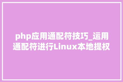 php应用通配符技巧_运用通配符进行Linux本地提权