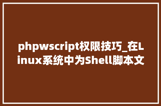 phpwscript权限技巧_在Linux系统中为Shell脚本文件添加可实行权限的详实指南
