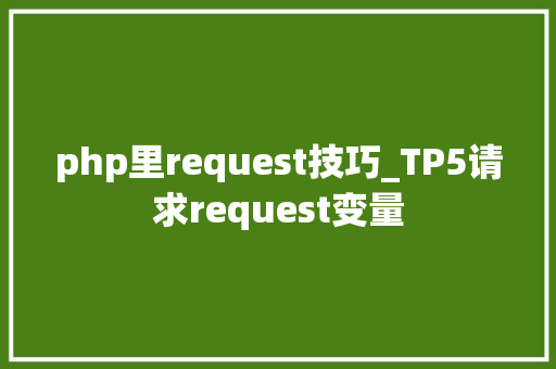 php里request技巧_TP5请求request变量
