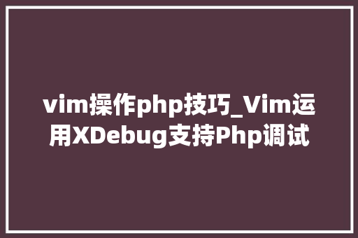 vim操作php技巧_Vim运用XDebug支持Php调试