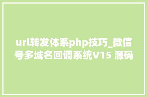 url转发体系php技巧_微信号多域名回调系统V15 源码