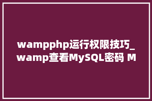 wampphp运行权限技巧_wamp查看MySQL密码 MySQL console输入密码闪退 重置mysql密码