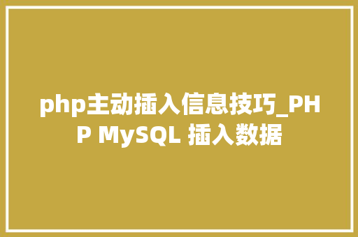 php主动插入信息技巧_PHP MySQL 插入数据