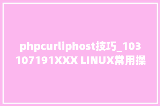 phpcurliphost技巧_103107191XXX LINUX常用操作查看系统信息与本钱