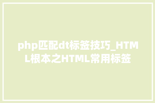 php匹配dt标签技巧_HTML根本之HTML常用标签
