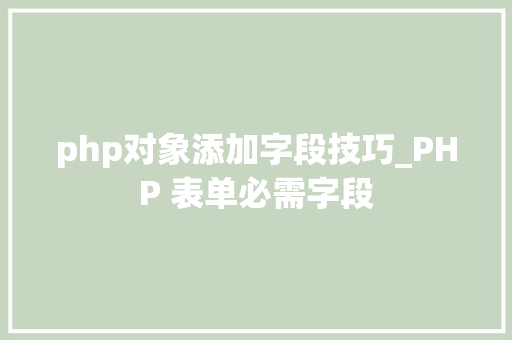 php对象添加字段技巧_PHP 表单必需字段