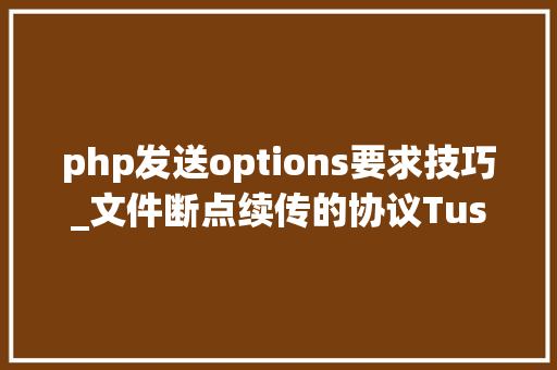 php发送options要求技巧_文件断点续传的协议Tus 协议