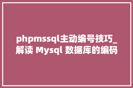 phpmssql主动编号技巧_解读 Mysql 数据库的编码设计