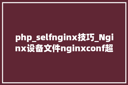 php_selfnginx技巧_Nginx设备文件nginxconf超具体讲解