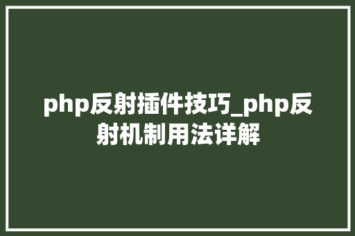 php反射插件技巧_php反射机制用法详解