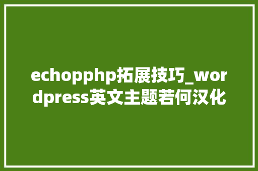 echopphp拓展技巧_wordpress英文主题若何汉化成中文网站模板