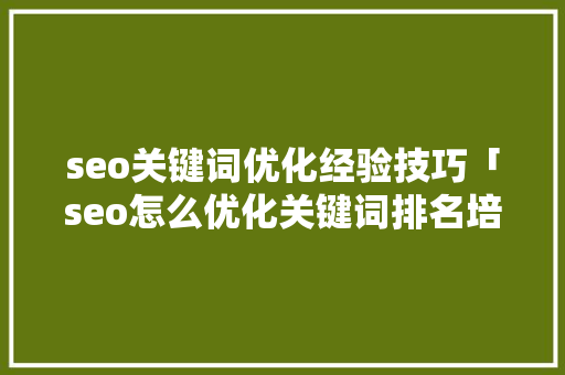 seo关键词优化经验技巧「seo怎么优化关键词排名培训」