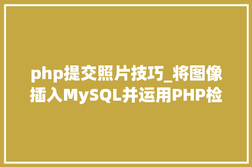 php提交照片技巧_将图像插入MySQL并运用PHP检索图像