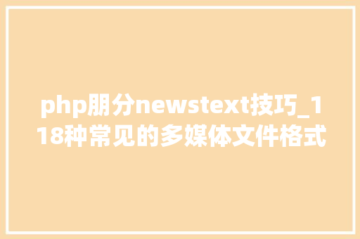 php朋分newstext技巧_118种常见的多媒体文件格式英文简写