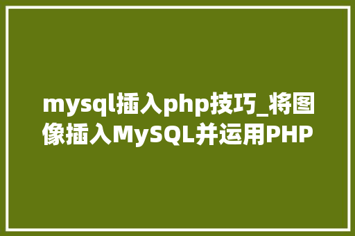 mysql插入php技巧_将图像插入MySQL并运用PHP检索图像