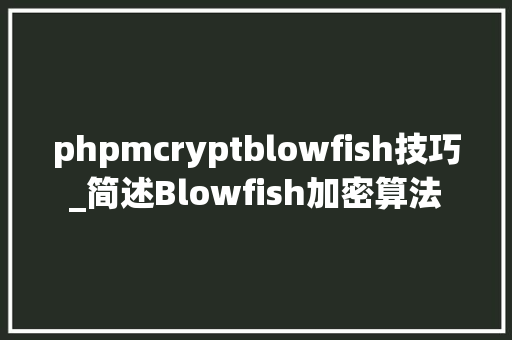 phpmcryptblowfish技巧_简述Blowfish加密算法