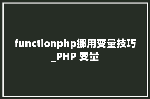 functionphp挪用变量技巧_PHP 变量