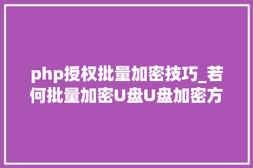 php授权批量加密技巧_若何批量加密U盘U盘加密方法有哪些