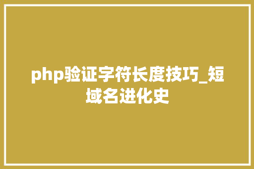 php验证字符长度技巧_短域名进化史
