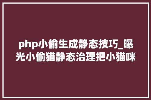 php小偷生成静态技巧_曝光小偷猫静态治理把小猫咪逼上犯罪之路
