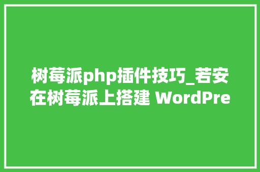 树莓派php插件技巧_若安在树莓派上搭建 WordPress