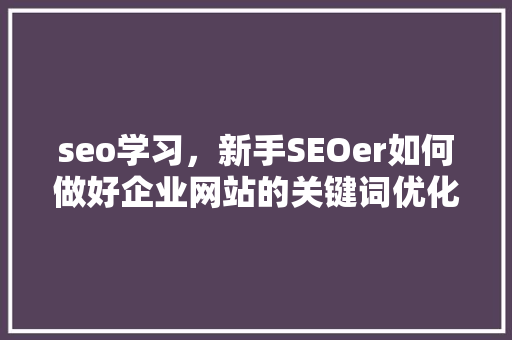 seo学习，新手SEOer如何做好企业网站的关键词优化「电脑seo关键词优化是什么」