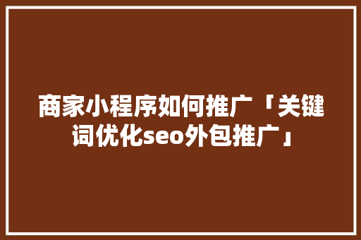 商家小程序如何推广「关键词优化seo外包推广」