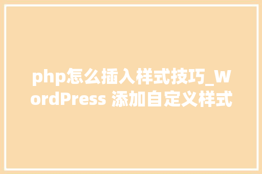 php怎么插入样式技巧_WordPress 添加自定义样式