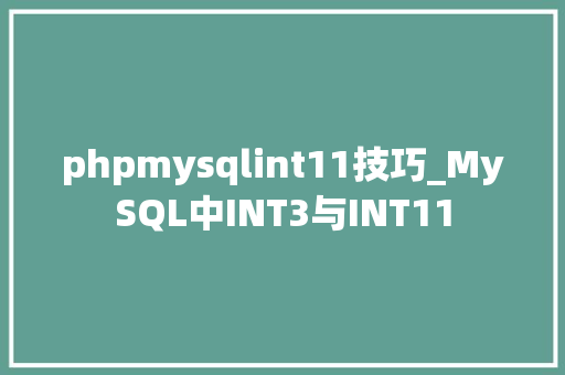 phpmysqlint11技巧_MySQL中INT3与INT11