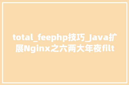 total_feephp技巧_Java扩展Nginx之六两大年夜filter