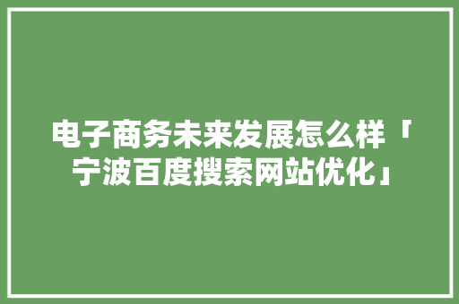 电子商务未来发展怎么样「宁波百度搜索网站优化」