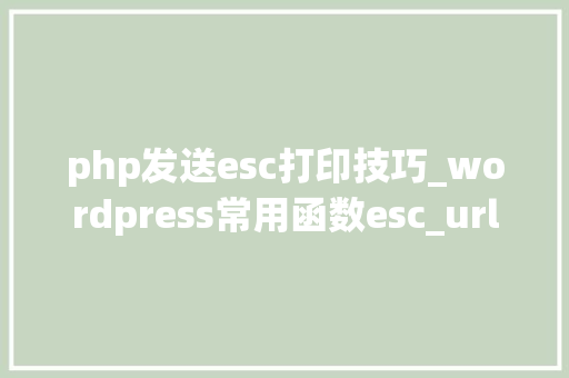 php发送esc打印技巧_wordpress常用函数esc_url