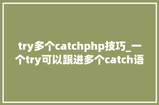 try多个catchphp技巧_一个try可以跟进多个catch语句