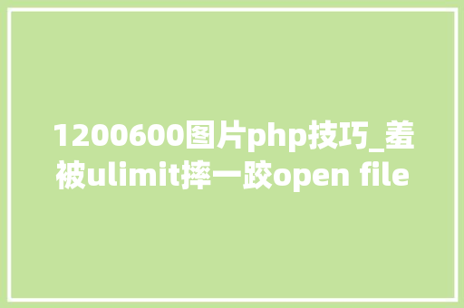 1200600图片php技巧_羞被ulimit摔一跤open file最大年夜65535