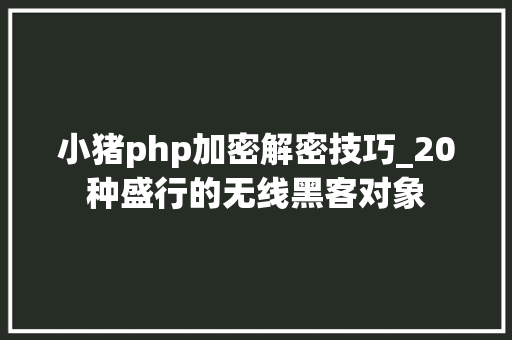 小猪php加密解密技巧_20种盛行的无线黑客对象