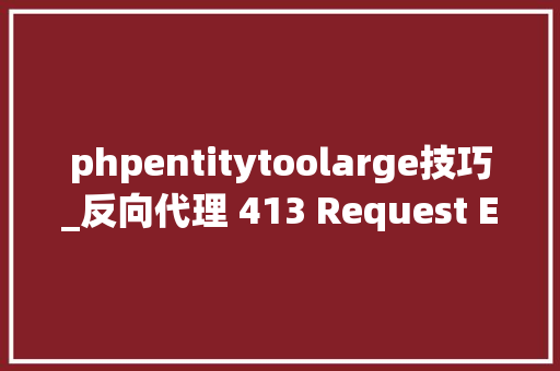 phpentitytoolarge技巧_反向代理 413 Request Entity Too Large 问题