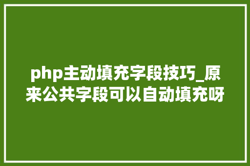 php主动填充字段技巧_原来公共字段可以自动填充呀我每次都是写一遍又写一遍