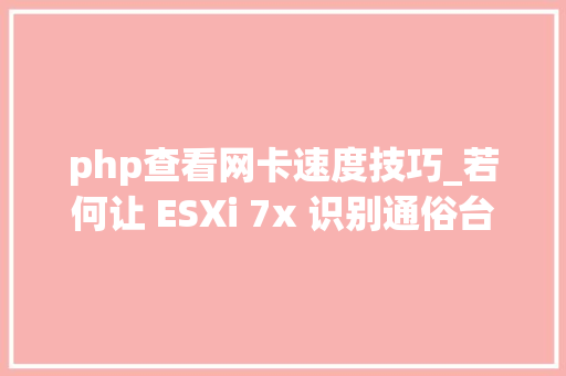 php查看网卡速度技巧_若何让 ESXi 7x 识别通俗台式机的网卡