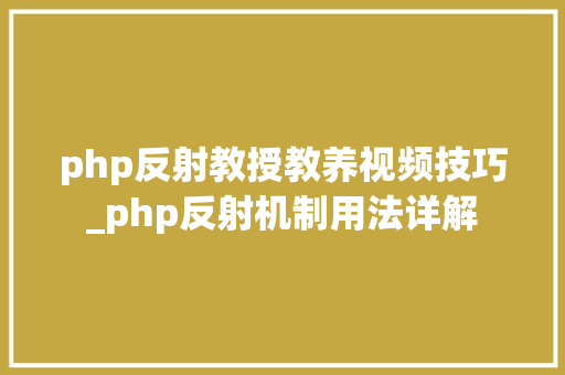 php反射教授教养视频技巧_php反射机制用法详解