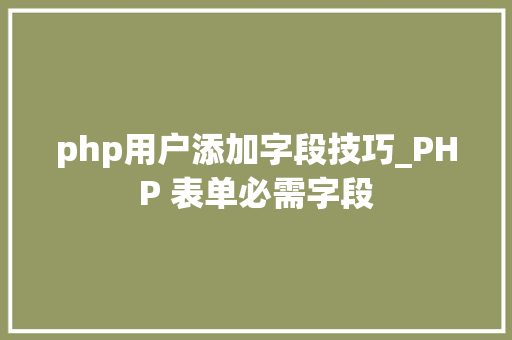 php用户添加字段技巧_PHP 表单必需字段