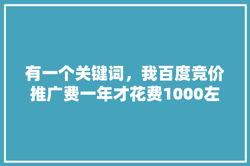有一个关键词，我百度竞价推广费一年才花费1000左右，有必要花5000做这个关键词的搜索排名吗「百度seo排名优化助手」