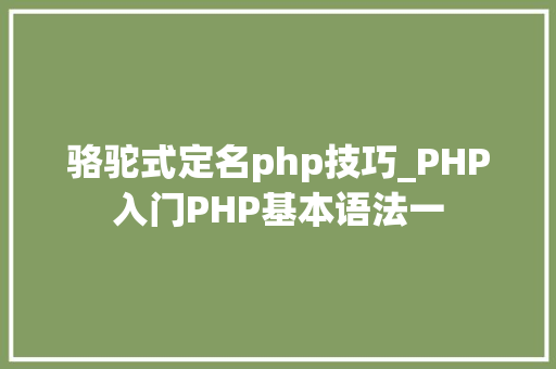 骆驼式定名php技巧_PHP入门PHP基本语法一