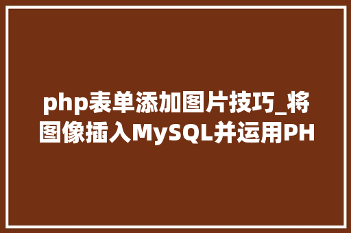 php表单添加图片技巧_将图像插入MySQL并运用PHP检索图像
